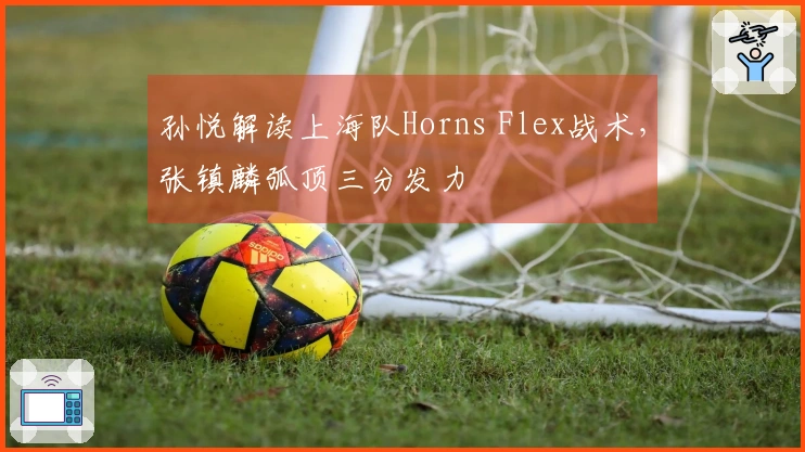 孙悦解读上海队Horns Flex战术，张镇麟弧顶三分发力